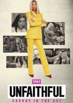 caught in the act: unfaithful tv poster