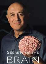 Watch Secrets of the Brain Fmovies