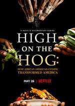 Watch High on the Hog: How African American Cuisine Transformed America Fmovies