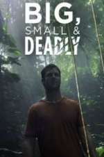 Watch Big, Small & Deadly Fmovies