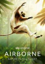 Watch Airborne Fmovies