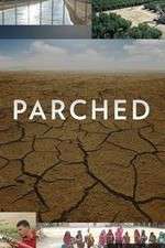 Watch Parched Fmovies