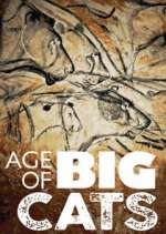 Watch Age of Big Cats Fmovies