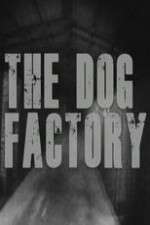 Watch The Dog Factory Fmovies