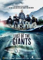 Watch Last of the Giants: Wild Fish Fmovies
