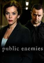 Watch Public Enemies Fmovies