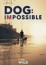 Watch Dog: Impossible Fmovies