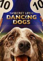 Watch The Secret Life of Dancing Dogs Fmovies