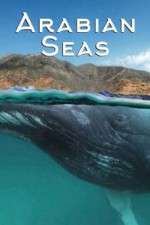 Watch Arabian Seas Fmovies