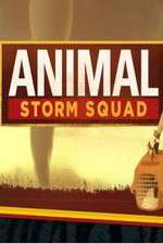 Watch Animal Storm Squad Fmovies