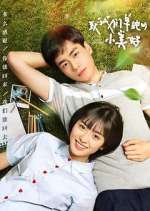 Watch A Love So Beautiful Fmovies