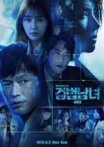 Watch Investigation Couple Fmovies