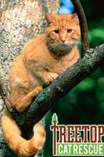 Watch Treetop Cat Rescue Fmovies