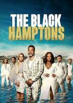 Watch Carl Weber's The Black Hamptons Fmovies
