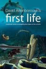 Watch David Attenborough's First Life Fmovies