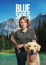 blue skies season 1 episode 4 tv poster