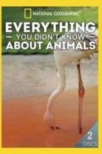 Watch Everything You Didnt Know About Animals Fmovies