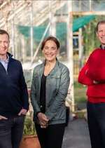 Watch Ear to the Ground Fmovies