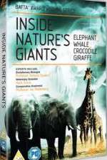 Watch Inside Nature's Giants Fmovies