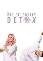 Watch The Big Celebrity Detox Fmovies