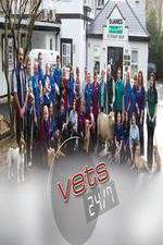 Watch Vets 24/7 Fmovies