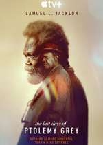 Watch The Last Days of Ptolemy Grey Fmovies
