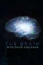 Watch The Brain with Dr David Eagleman Fmovies