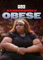 dangerously obese season 1 episode 3 tv poster