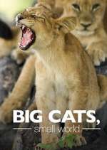 Watch Big Cats, Small World Fmovies