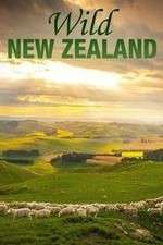 Watch Wild New Zealand Fmovies